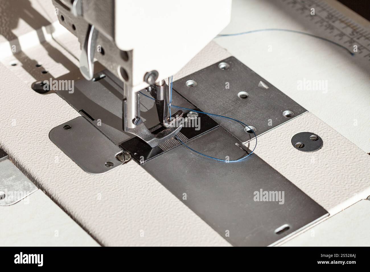 Nadel mit blauem Faden und Stahl Nähfuss der industriellen Nähmaschine Nahaufnahme Stockfoto