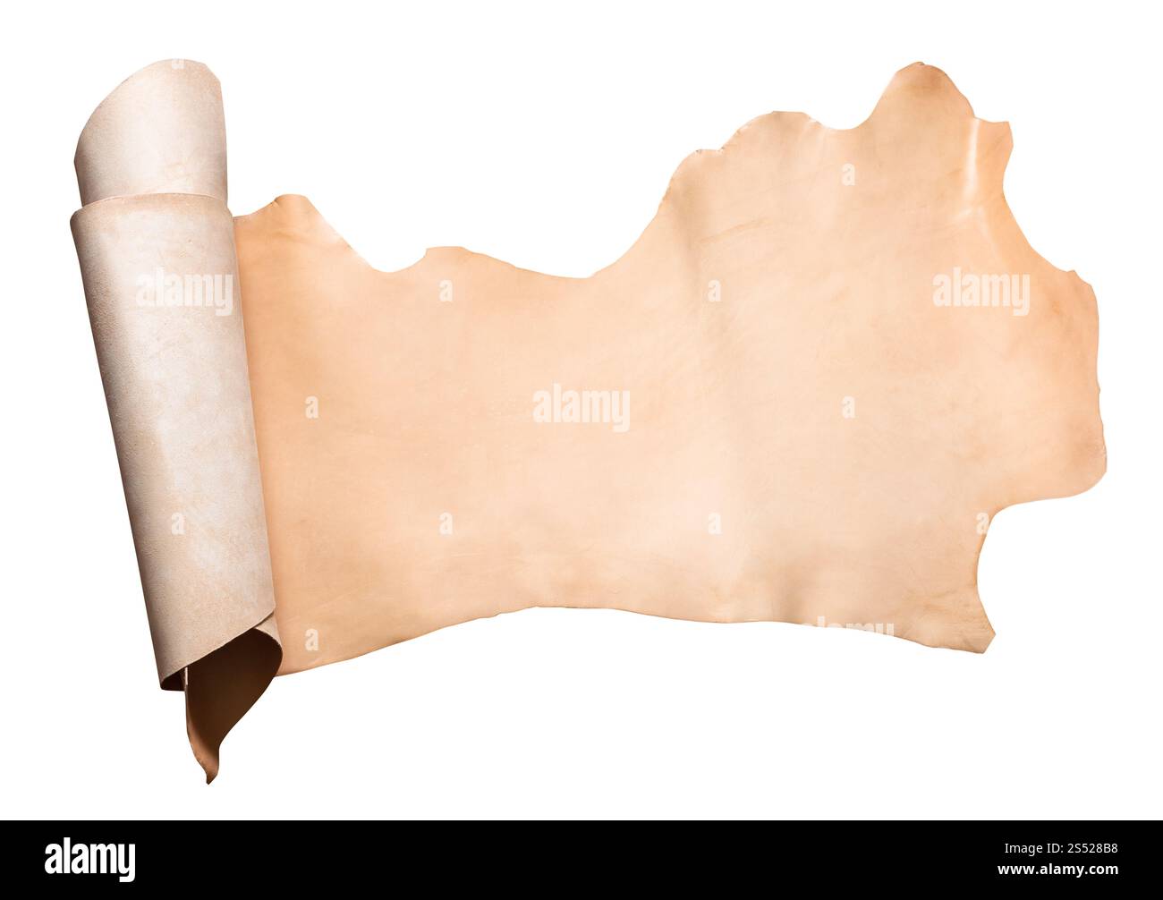 Gerollt Stück unbemalt pflanzlich gegerbt Rinder Leder auf weißem Hintergrund Stockfoto