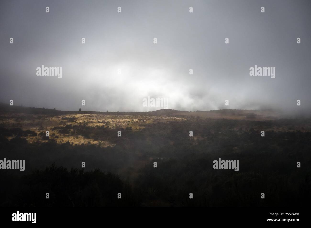 Dunkle Wolken und Nebel in den neuseeländischen alpen. Dunkle Wolken in den neuseeländischen alpen Stockfoto