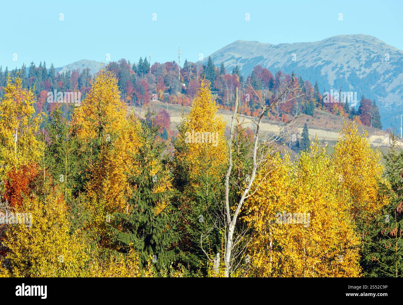 Morgen herbst Hänge (mit bunten Bäumen) der Karpaten (Yablunytskyj, Oblast Ternopil, Ukraine). Blick auf Gorgany Mountain Range. Stockfoto