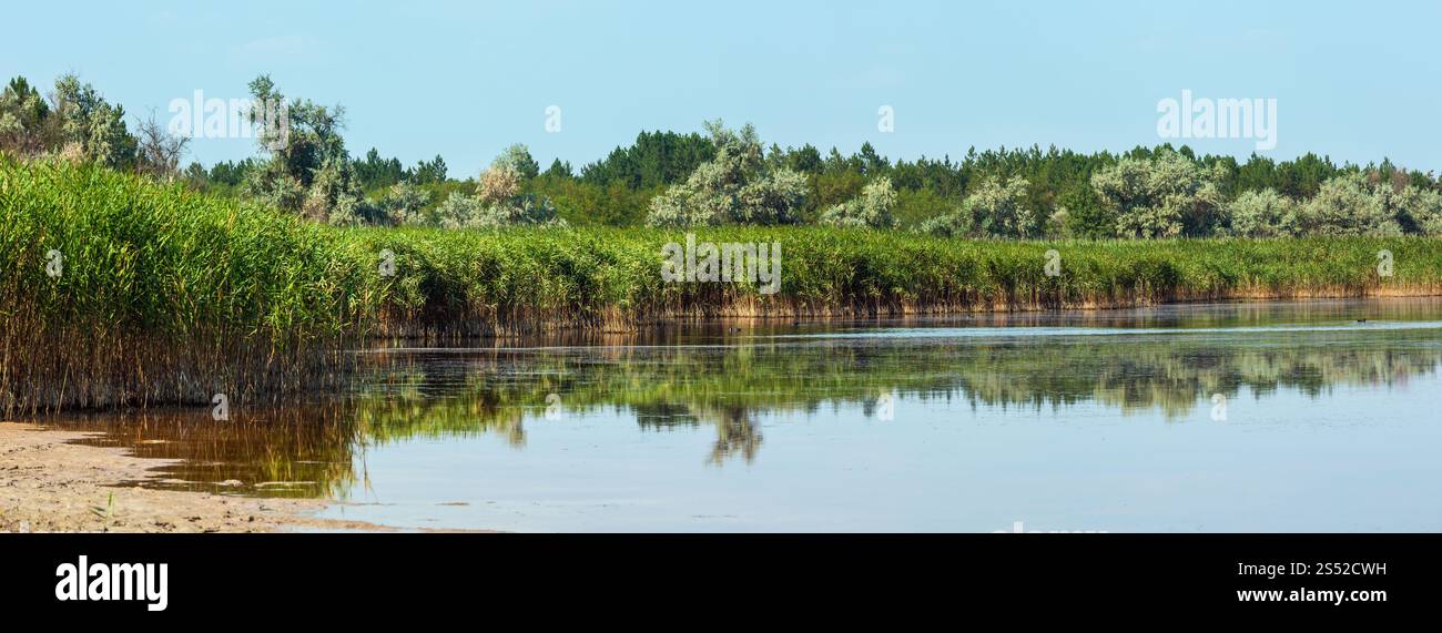 Sommer Pryschukove dunkel braun-rote Jod See mit einer therapeutischen Wirkung durch den hohen Gehalt an Jod (Kherson, Ukraine). Stockfoto