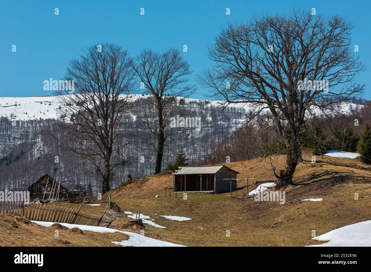 Der frühe Frühling Karpaten plateau Landschaft mit schneebedeckten Grat tops in weit, Ukraine. Stockfoto