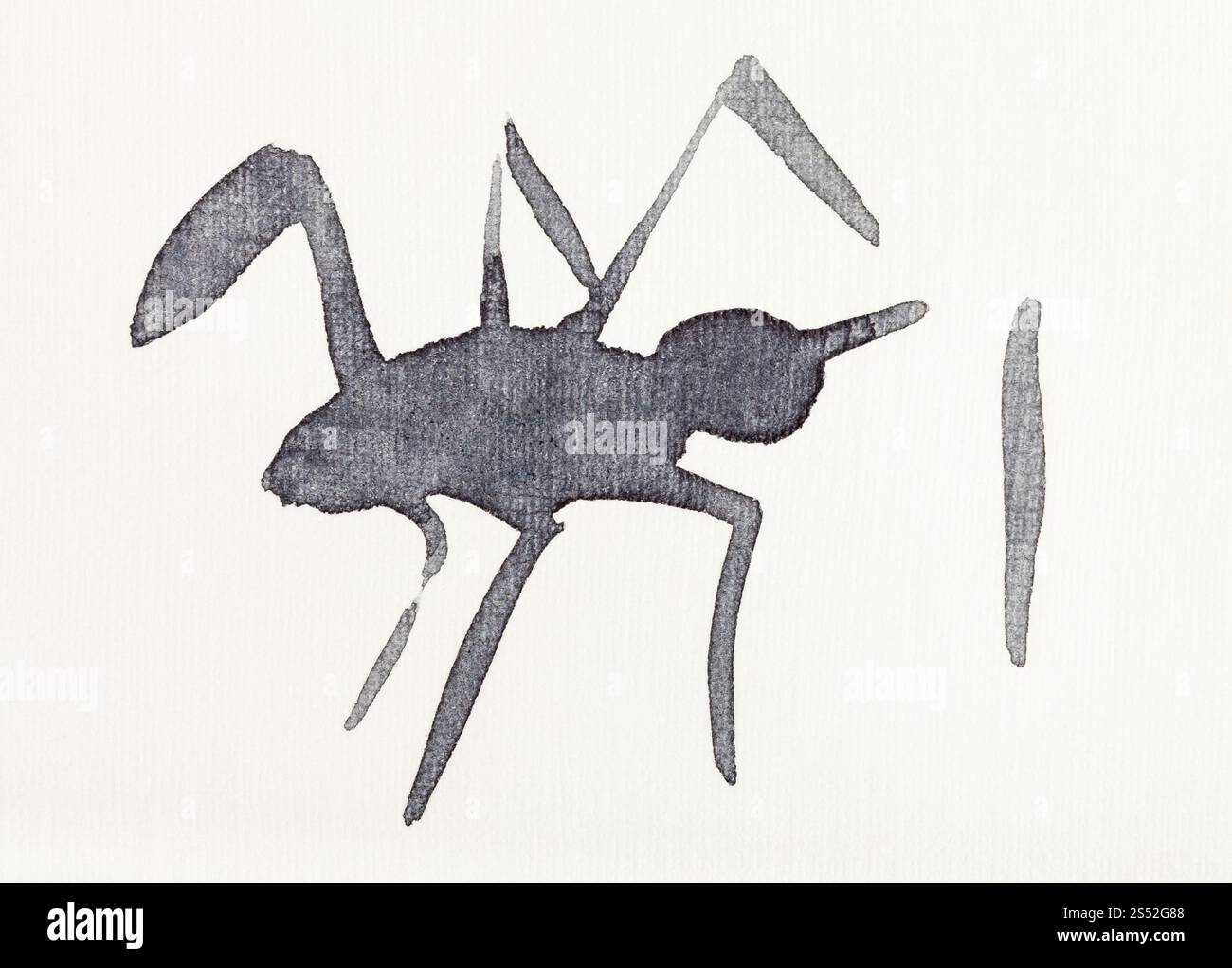 Hand Malerei in Sumi-e Stil an den cremefarbenen Papier - Skizze der Spider von schwarzen Aquarelle gezeichnet Stockfoto