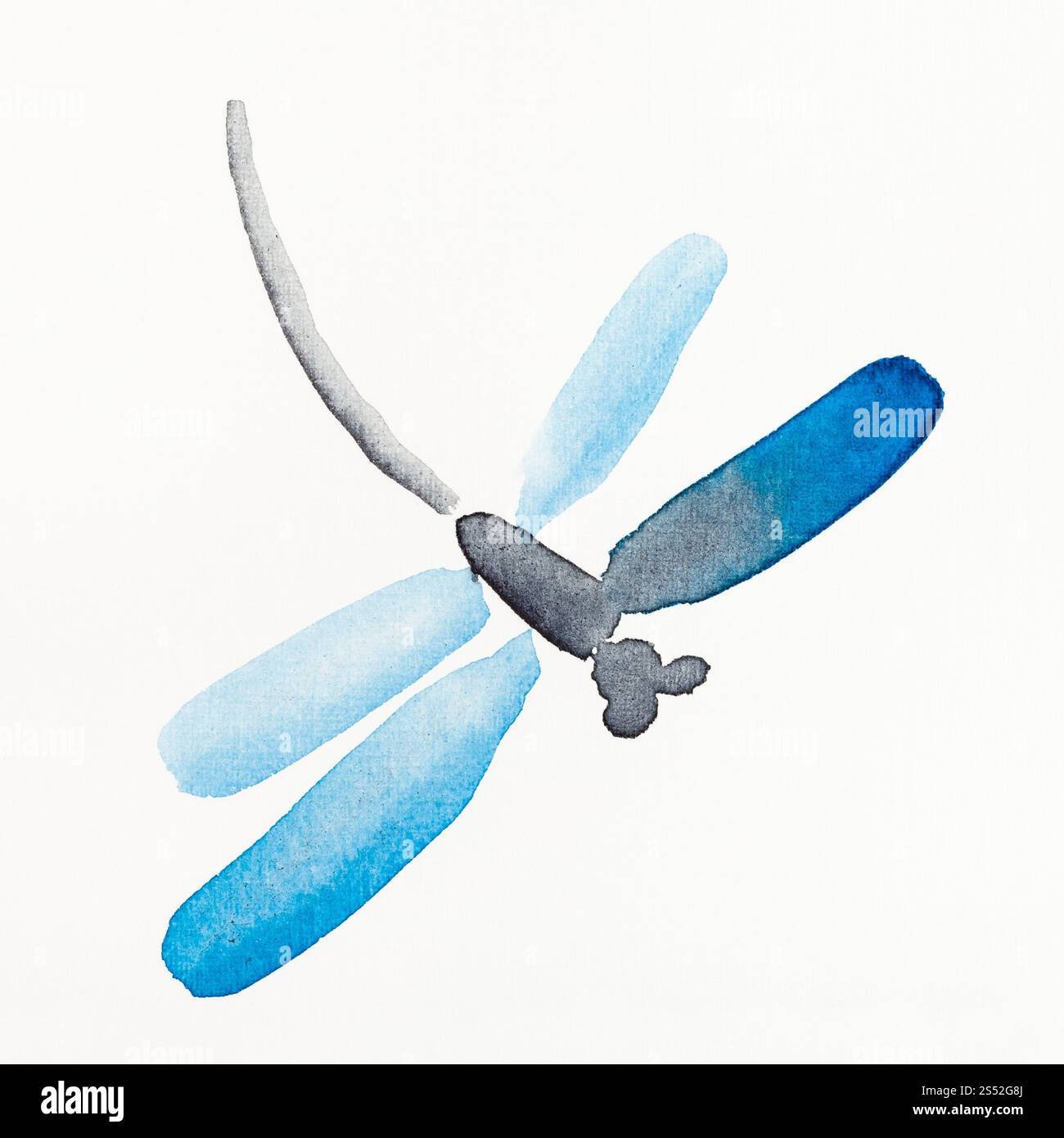 Hand Malerei in Sumi-e Stil auf weißem Papier - Libelle mit Blue Wings durch Aquarelle gezeichnet Stockfoto