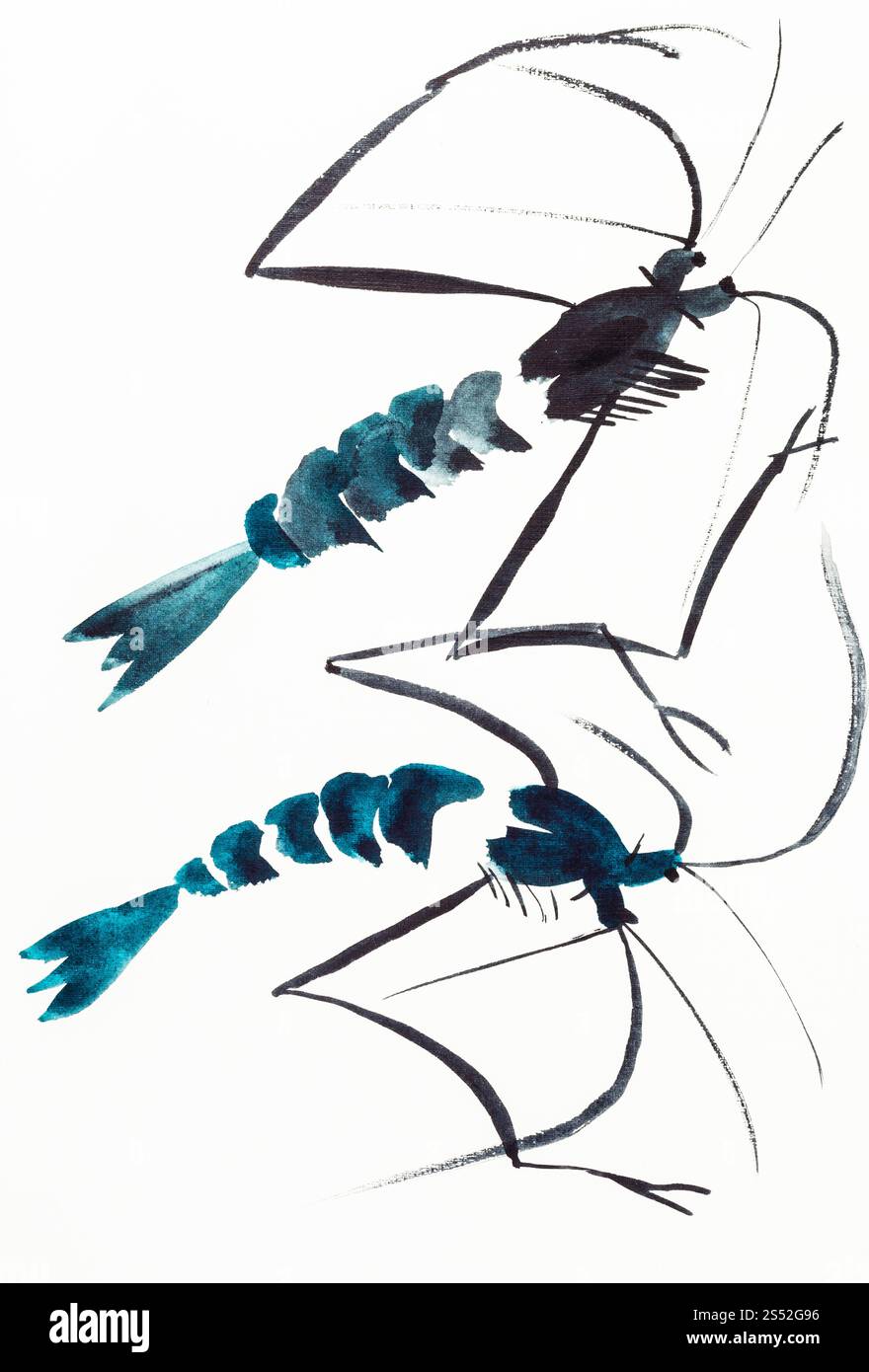 Hand Malerei in Sumi-e Stil an den cremefarbenen Papier - zwei Garnelen durch Aquarelle gezeichnet Stockfoto