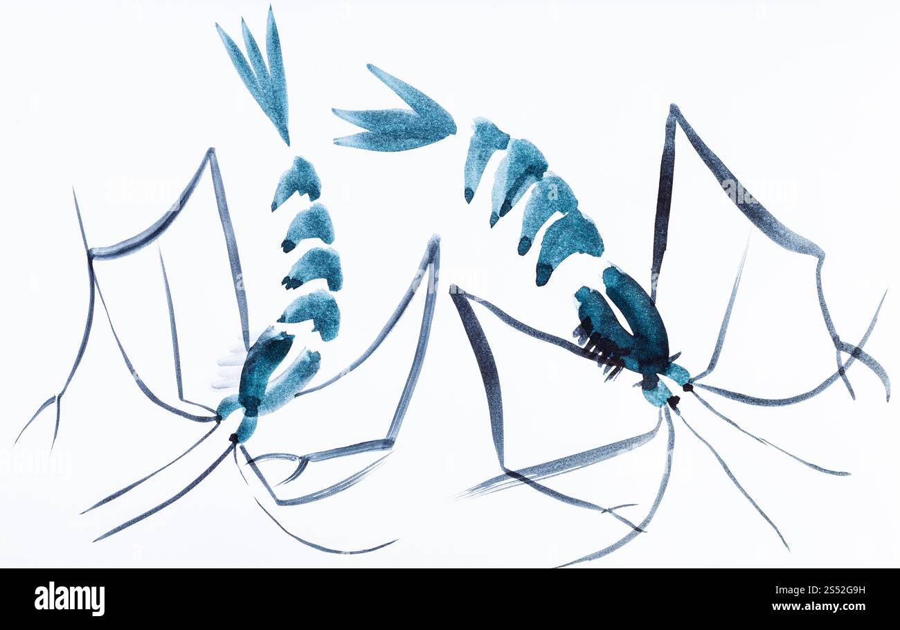 Hand Malerei in Sumi-e Stil an den cremefarbenen Papier - zwei Garnelen durch blaue Aquarelle gezeichnet Stockfoto