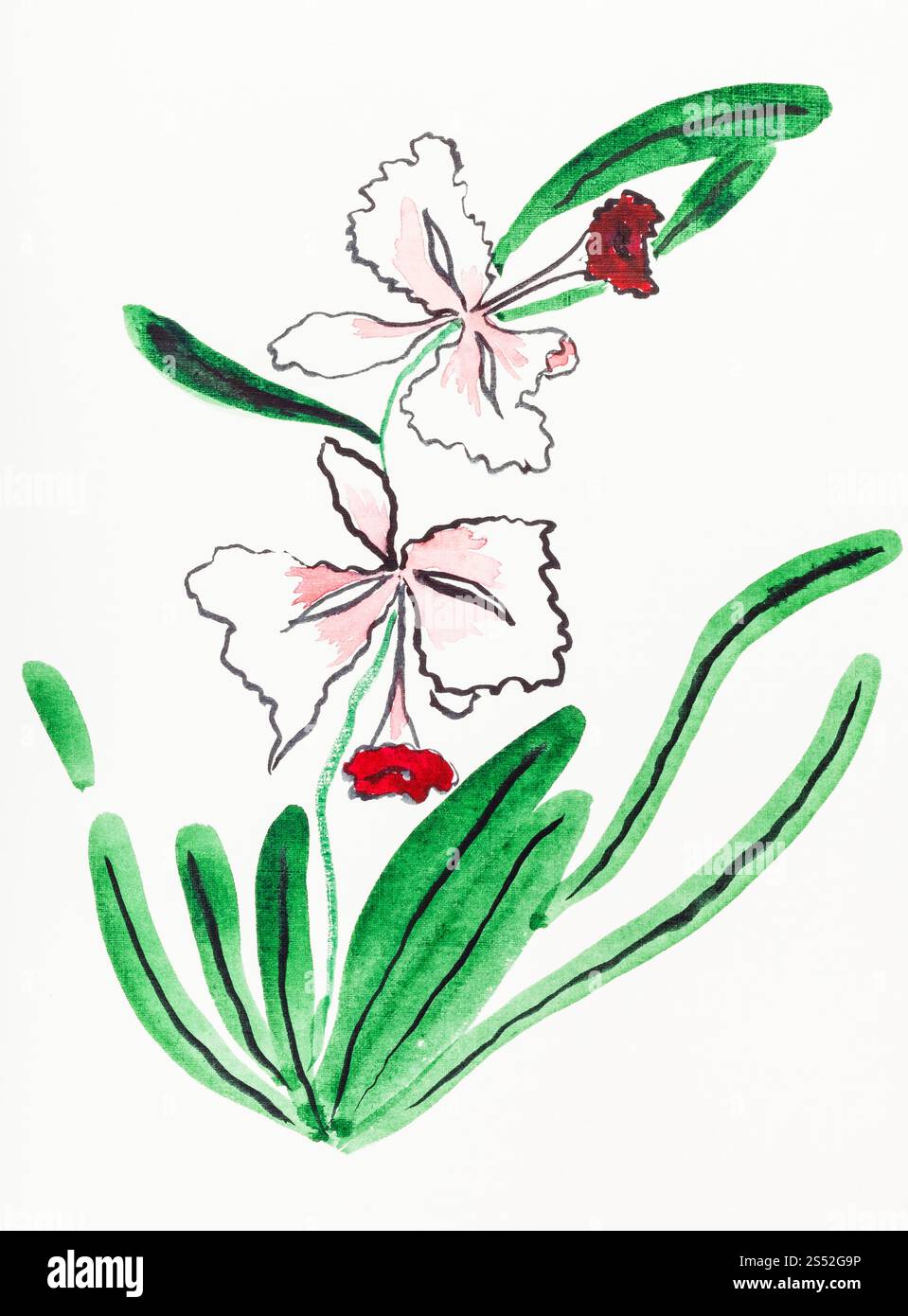 Hand Malerei in Sumi-e Stil an den cremefarbenen Papier - Farbe Orchidee durch Aquarelle gezeichnet Stockfoto