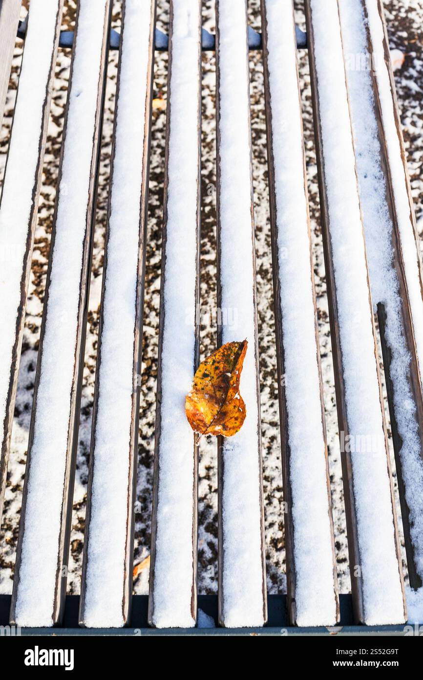 Gefallenen Blatt auf Holzbank mit dem ersten Schnee im städtischen Garten im frostigen Herbst Tag abgedeckt Stockfoto