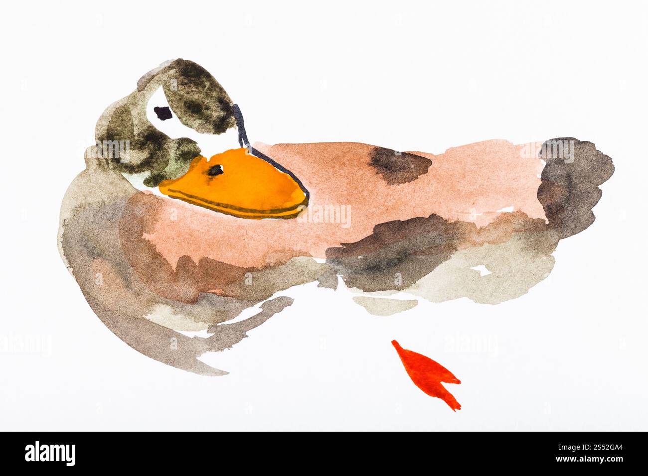 Hand Malerei in Sumi-e Stil auf weißem Papier - bunte Ente von Aquarellen gezeichnet Stockfoto