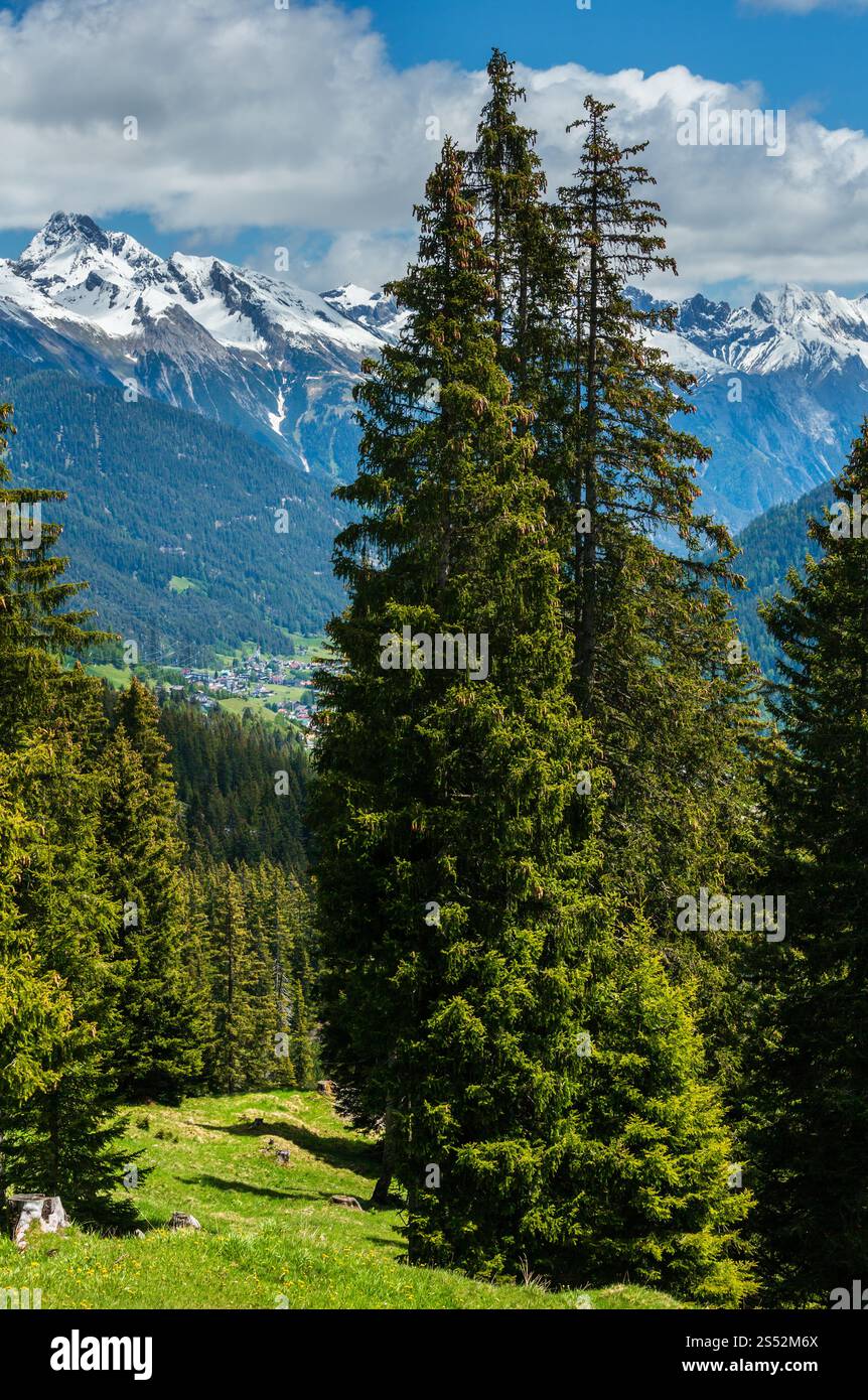 Sommer Alpen Berglandschaft mit Tanne Wald am Hang und schneebedeckten Rocky tops in weit, Österreich. Stockfoto