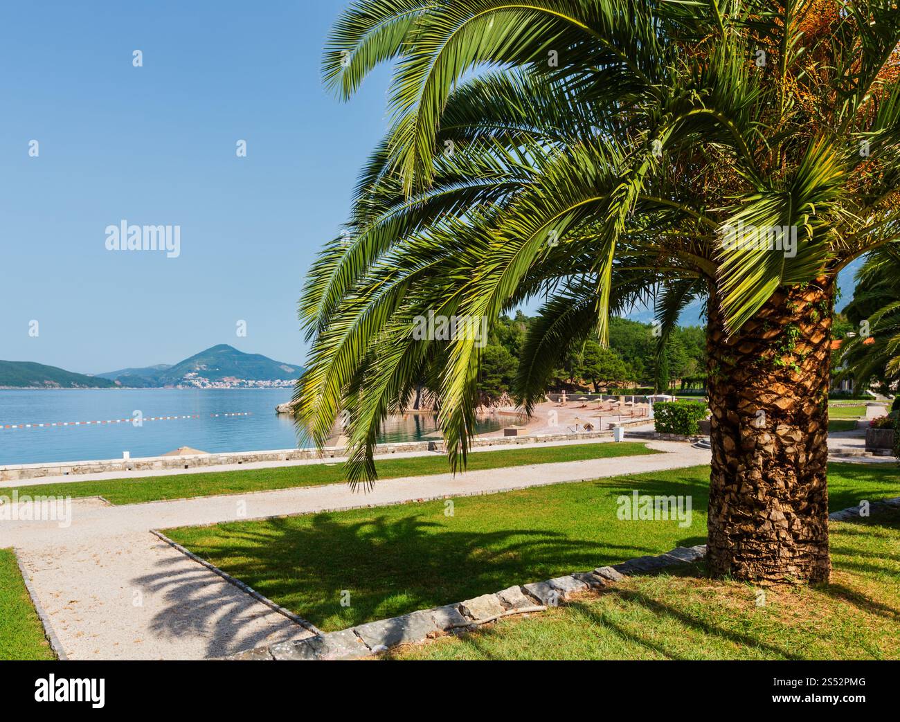 Zeigen Sie einem schönen Sommermorgen Park mit Palme in der Nähe von Milocer Strand (Montenegro, Budva an) Stockfoto