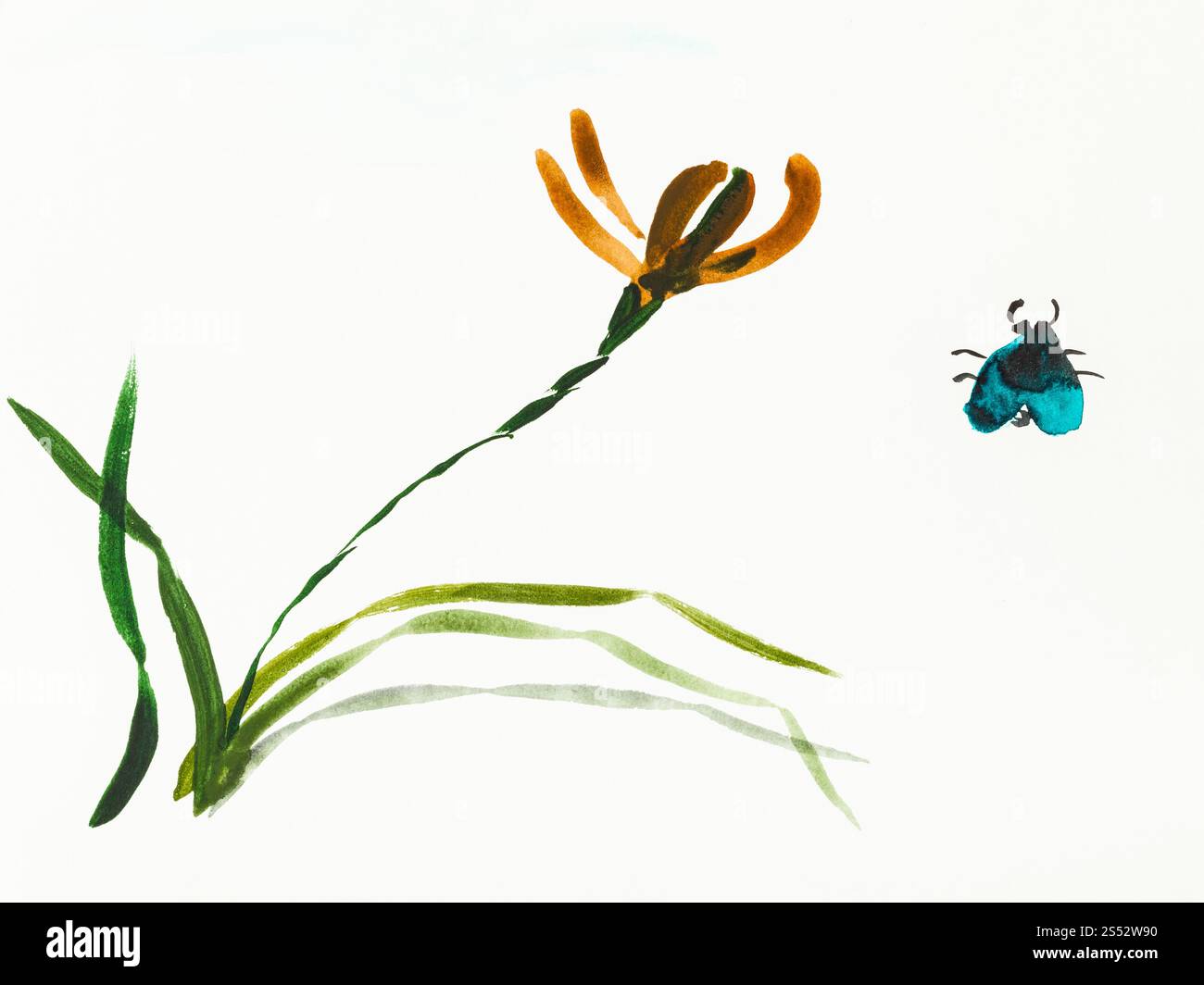 Ausbildung Zeichnung in Sumi-e (suibokuga) Stil mit Wasserfarben - Fehler und Iris Blume sind von Hand auf cremigem Papier gezeichnet Stockfoto