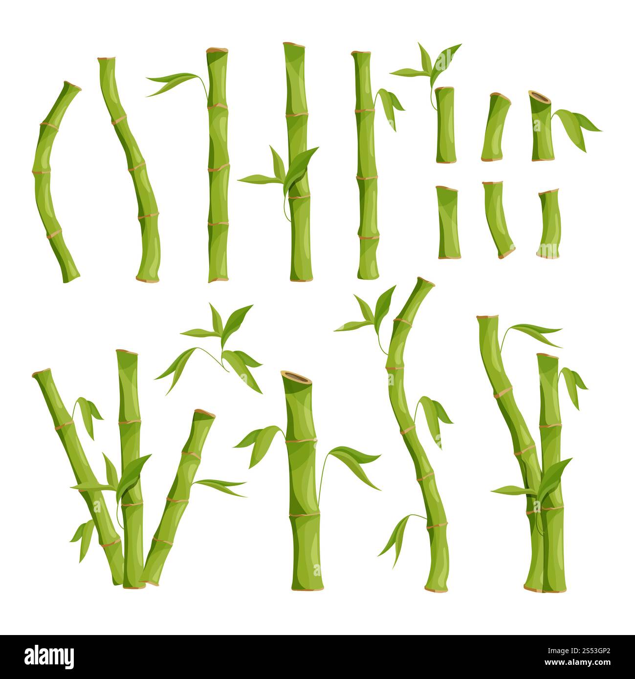 Naturfotos von Bambusbäumen. Dschungelholz. Vektor-grüner Bambusbaum, Stamm mit Blatt-Illustration. Naturfotos von Bambusbäumen. Dschungel Stockfoto