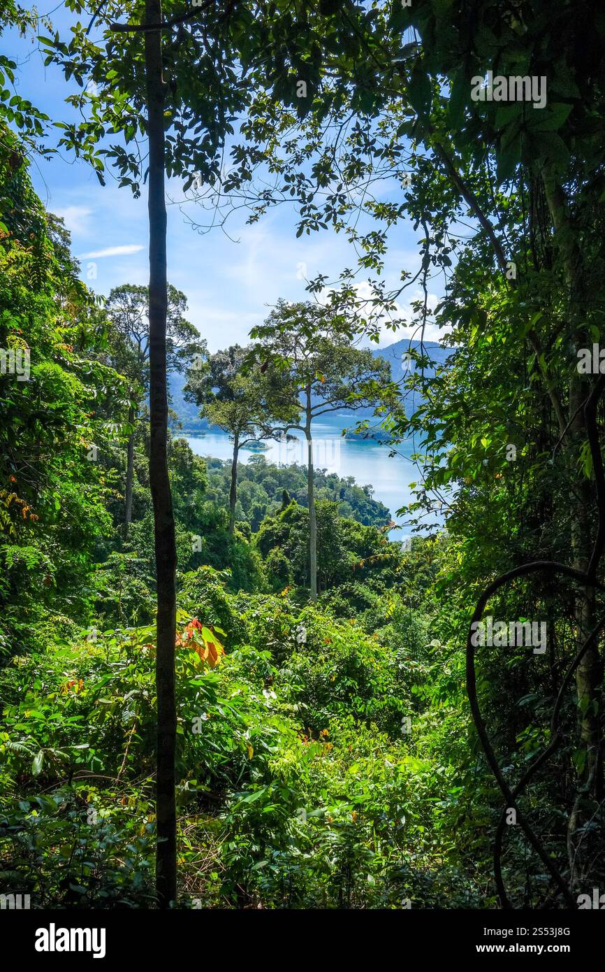 Cheow Lan Lake Dschungellandschaft, Khao Sok Nationalpark, Thailand. Cheow Lan Lake Dschungellandschaft, Khao Sok, Thailand Stockfoto
