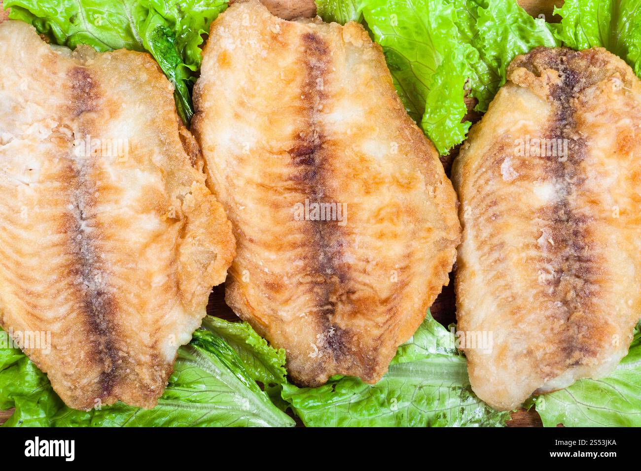 Blick von oben auf die gebratenen Ozean Barschfilet auf grünem Salat Nahaufnahme Stockfoto
