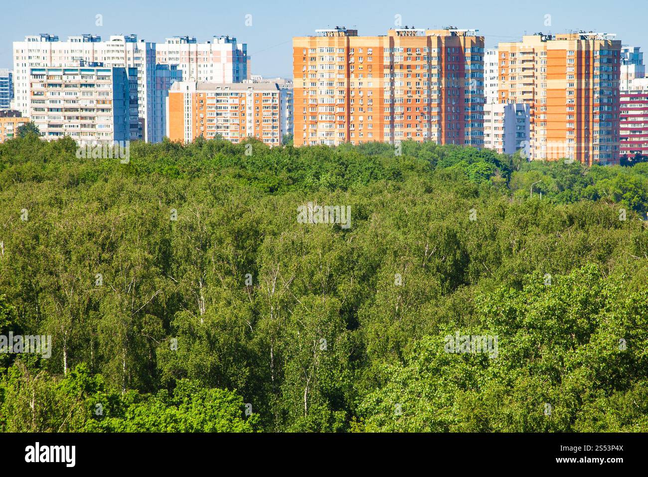 Anzeigen von Green City Park und Wohnhäuser von Sun im sonnigen Sommertag leuchtet Stockfoto