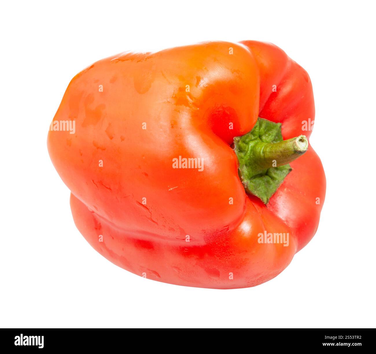 Reife Frucht von roten Paprika (Paprika, Paprika) auf weißem Hintergrund Stockfoto