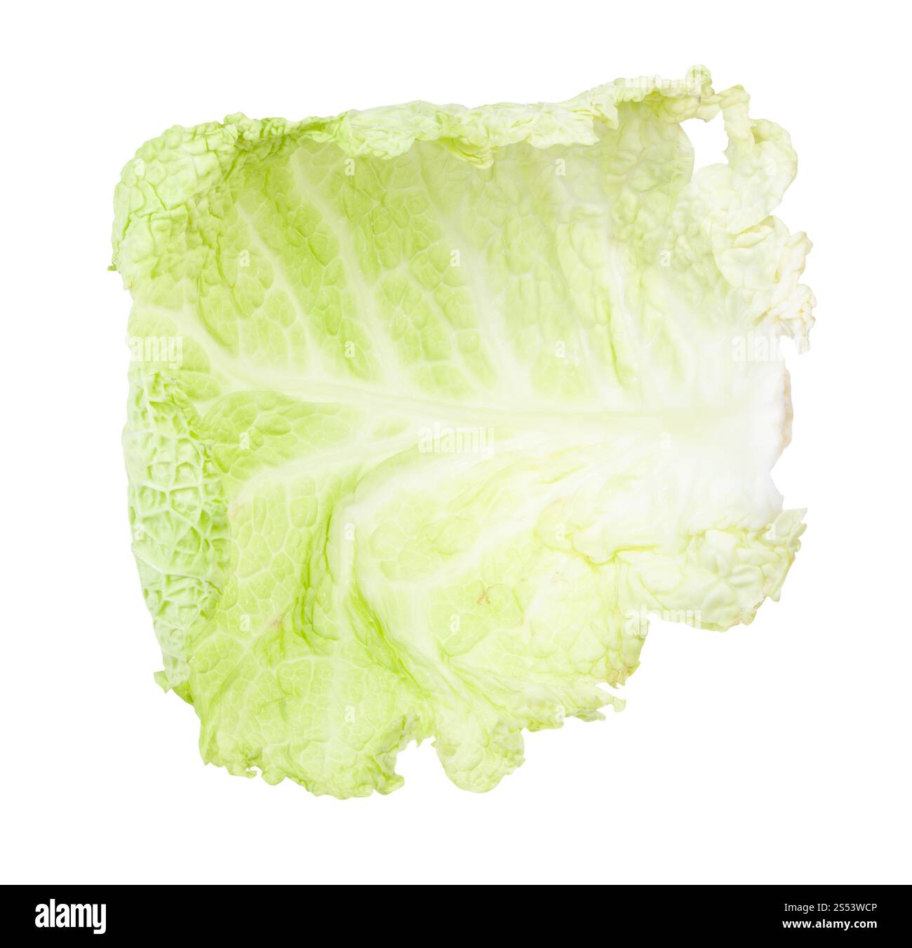 Frische Blätter Wirsing Gemüse auf weißem Hintergrund Stockfoto