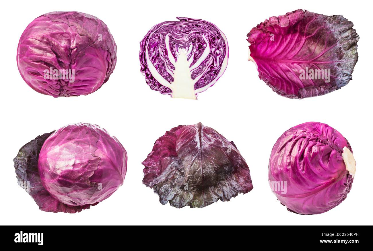 Verschiedene Blätter und Leiter der Rotkohl auf weißem Hintergrund Stockfoto