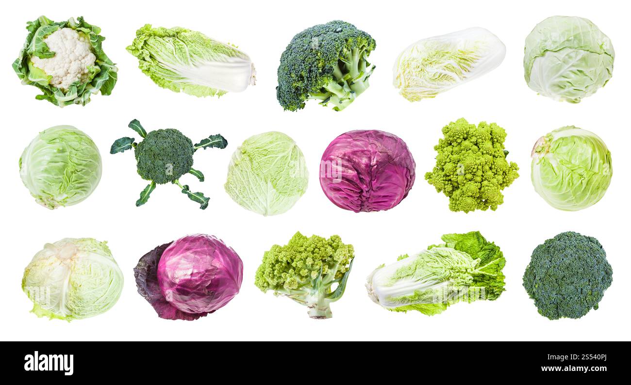 Viele verschiedene Kopfkohl (Romesco, Brokkoli, Blumenkohl, Weißkohl, Rotkohl, napa-Kohl, savoyenkohl usw.) isoliert auf weiß Stockfoto