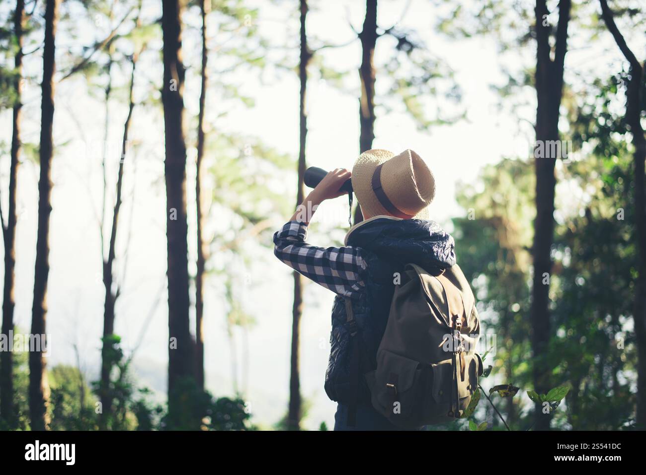 Frau mit Ferngläsern, die im Wald spazieren Stockfoto