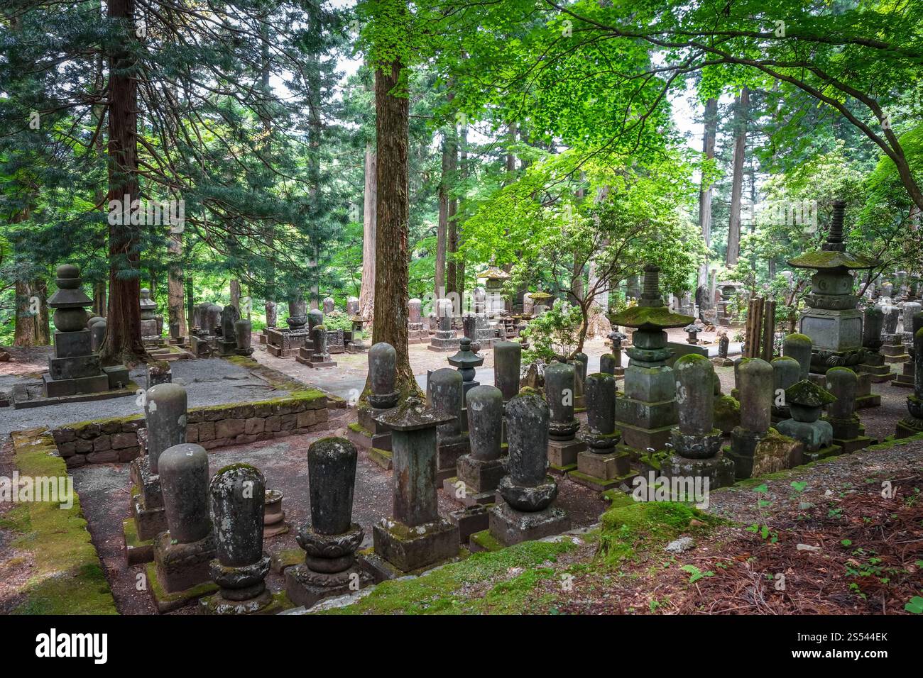 Narabi Jizo Friedhof in Kanmangafuchi Abgrund, Nikko, Japan. Narabi Jizo Friedhof, Nikko, Japan Stockfoto