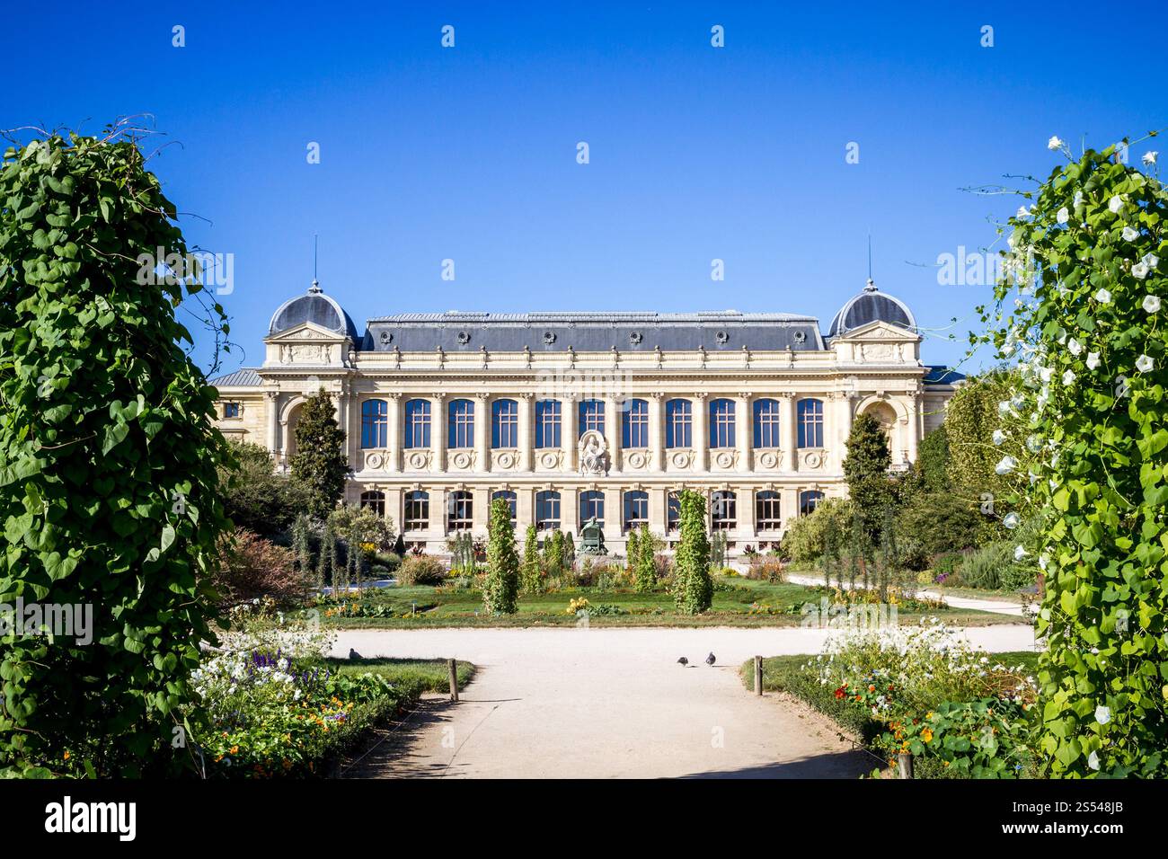 Botanischer Garten und Museum Jardin des plantes, Paris, Frankreich. Park und Museum Jardin des plantes, Paris, Frankreich Stockfoto