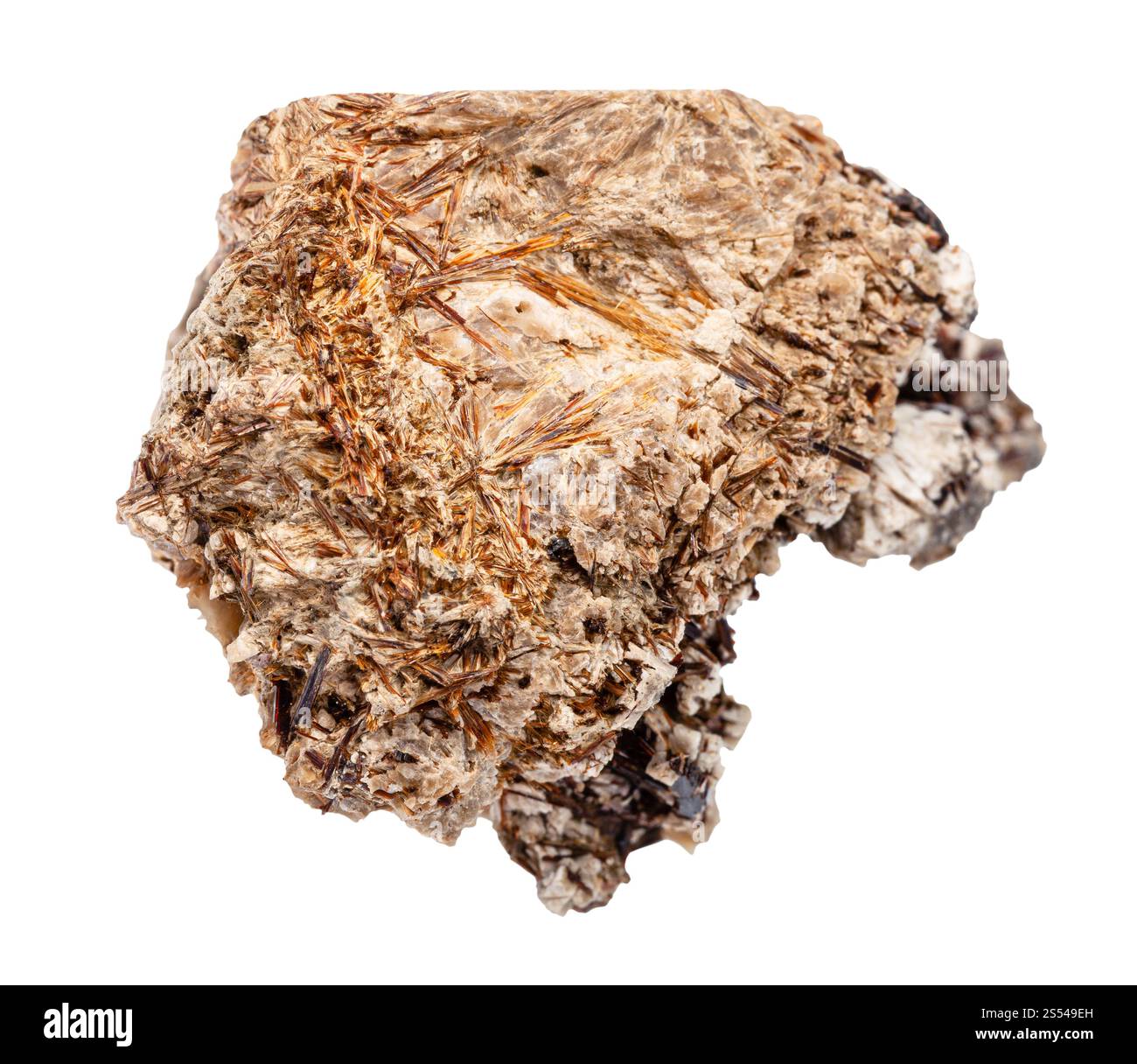 Nahaufnahme der Probe des natürlichen Minerals aus der geologischen Sammlung - roher Astrophyllitstein isoliert auf weißem Hintergrund. Roher Astrophyllitstein Stockfoto