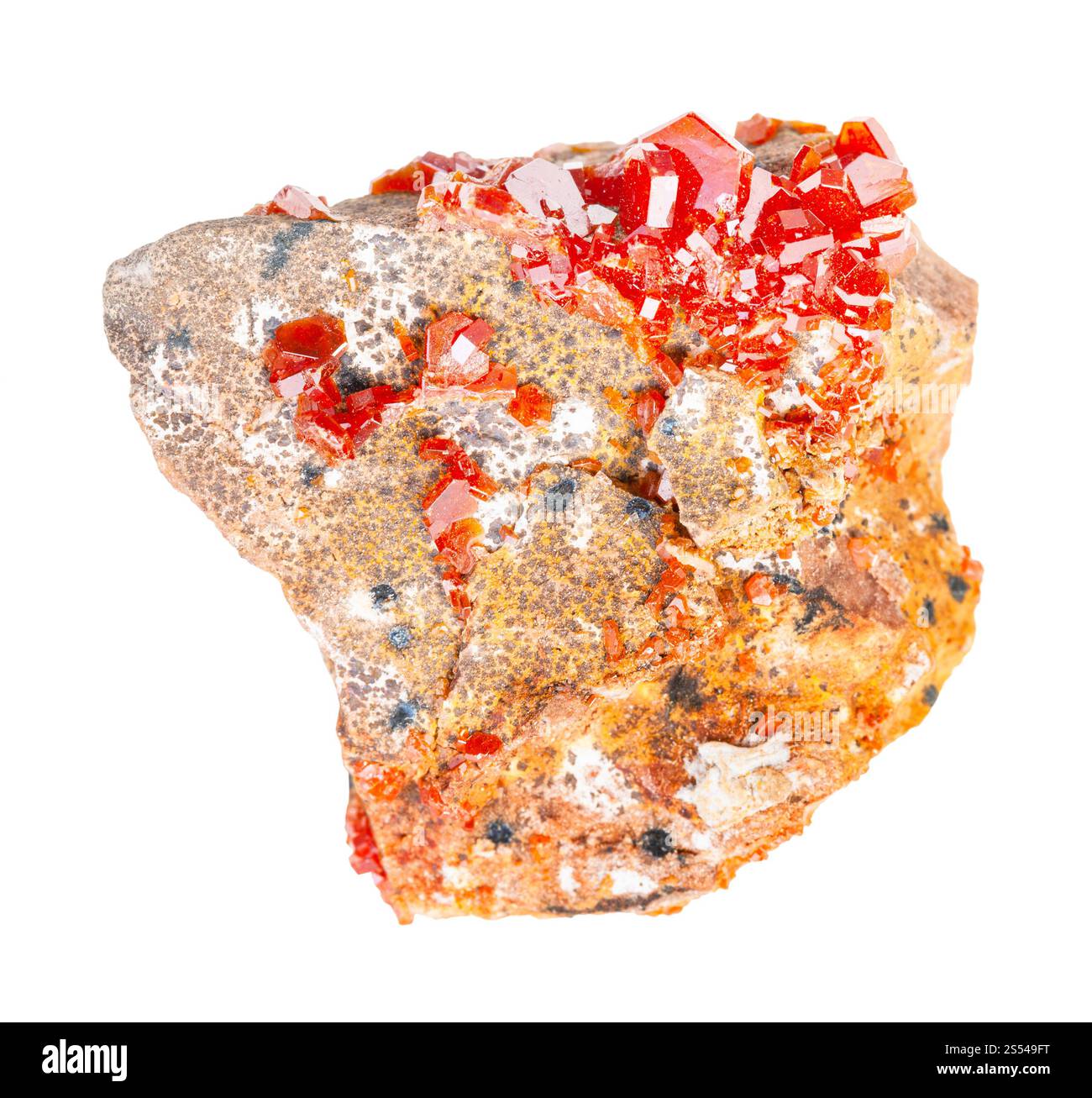 Nahaufnahme einer Probe von natürlichem Mineral aus geologischer Sammlung - raue Vanadinitkristalle auf Gestein isoliert auf weißem Hintergrund. Raues Vanadinit Stockfoto