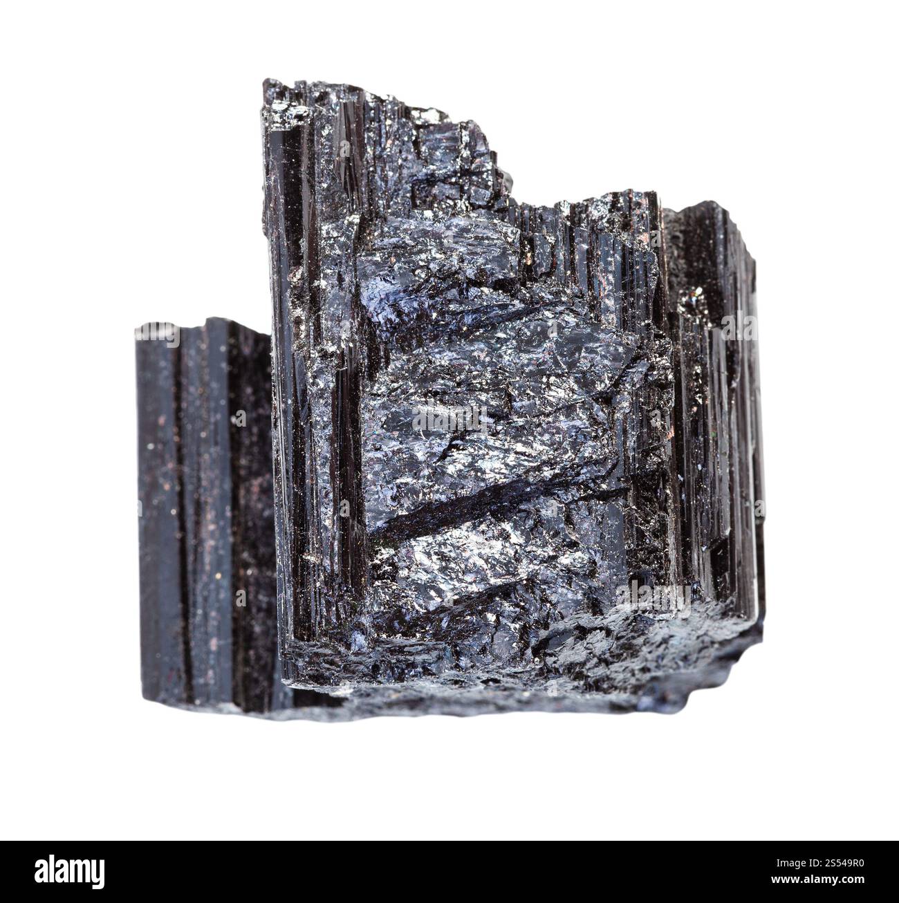 Nahaufnahme der Probe des natürlichen Minerals aus der geologischen Sammlung - unpolierter Schorl-Kristall (schwarzer Turmalin) isoliert auf weißem Hintergrund. Stockfoto