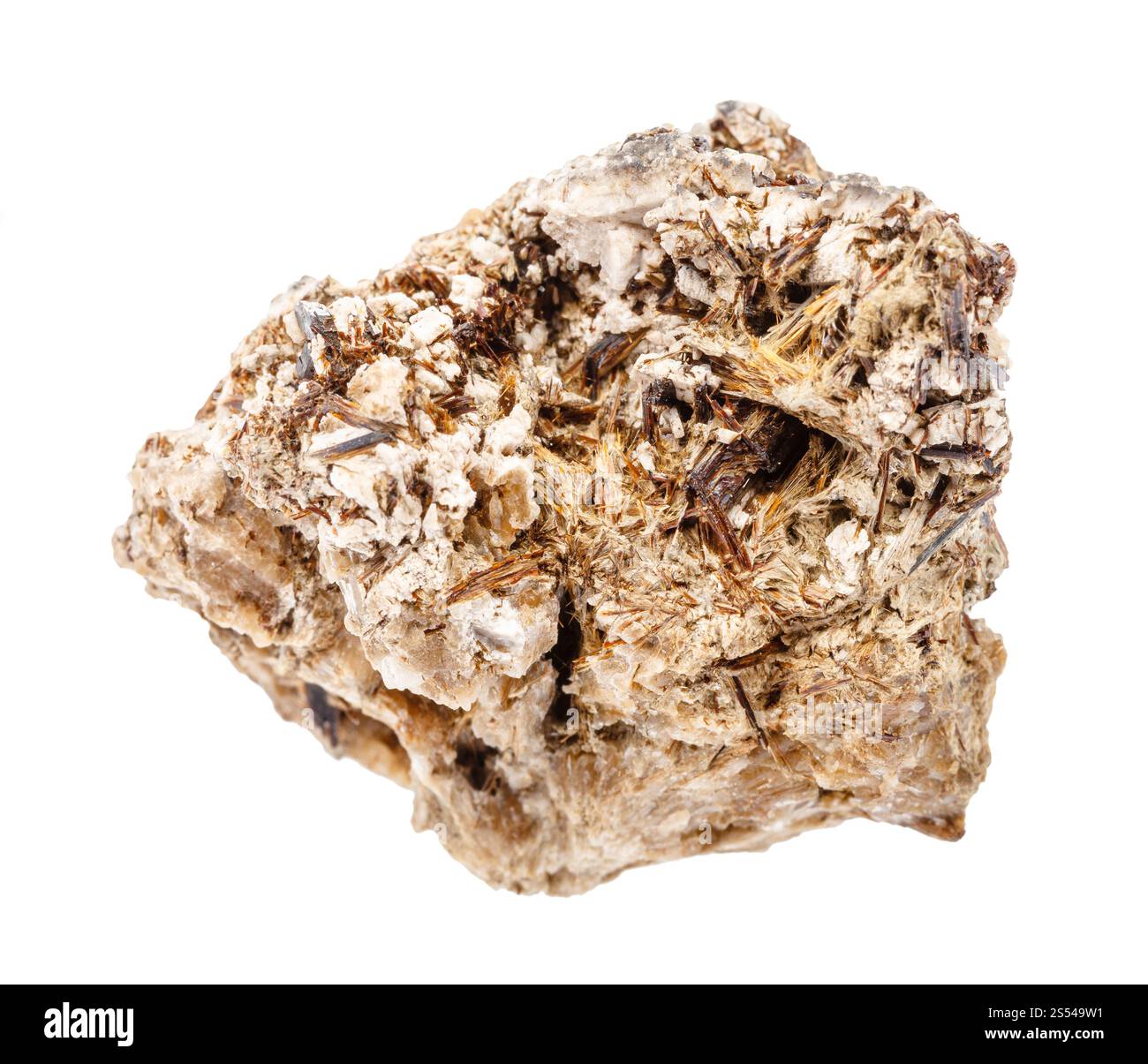Nahaufnahme der Probe des natürlichen Minerals aus der geologischen Sammlung - roher Astrophyllit-Gestein isoliert auf weißem Hintergrund. Rohes Astrophyllitgestein Stockfoto