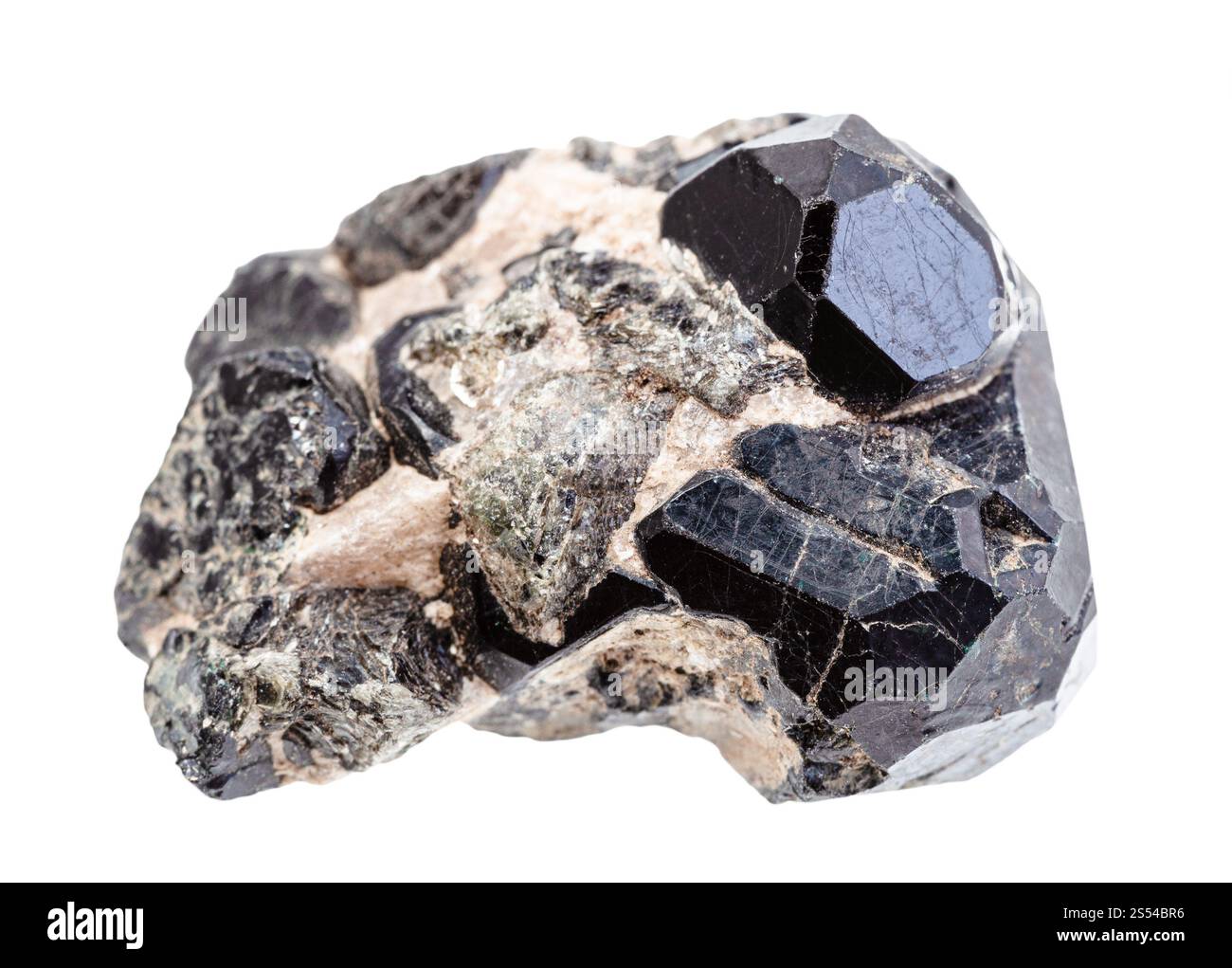 Nahaufnahme der Probe des natürlichen Minerals aus der geologischen Sammlung - schwarze Spinellkristalle auf Diopsiddruse isoliert auf weißem Hintergrund. Schwarzer Spinell Stockfoto