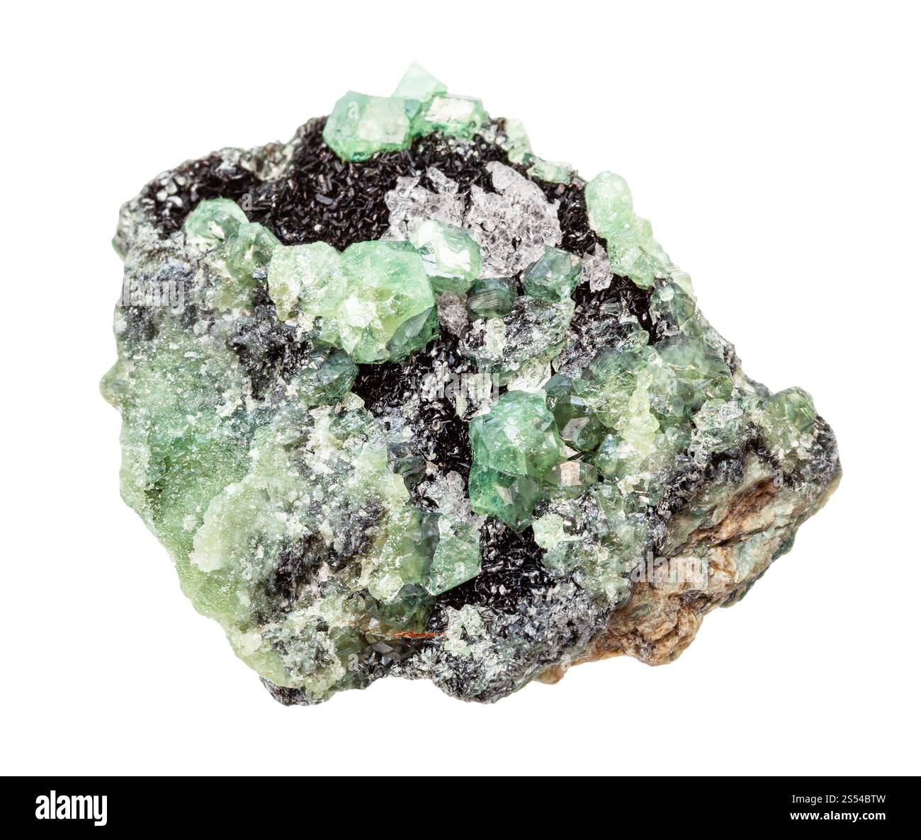 Nahaufnahme der Probe des natürlichen Minerals aus der geologischen Sammlung - Druse von rohen Demantoid (grüner andraditer Granat, Uralischer Smaragd) Kristallen isoliert Stockfoto