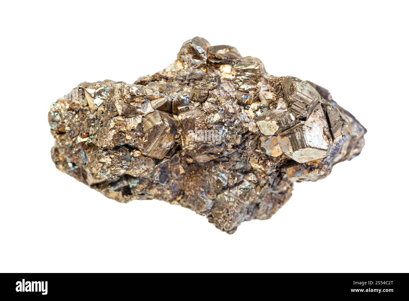 Nahaufnahme einer Probe von natürlichem Mineral aus geologischer Sammlung - grober Trocken von Pyritkristallen (Eisenpyrit, Narrengold) isoliert auf weiß Stockfoto