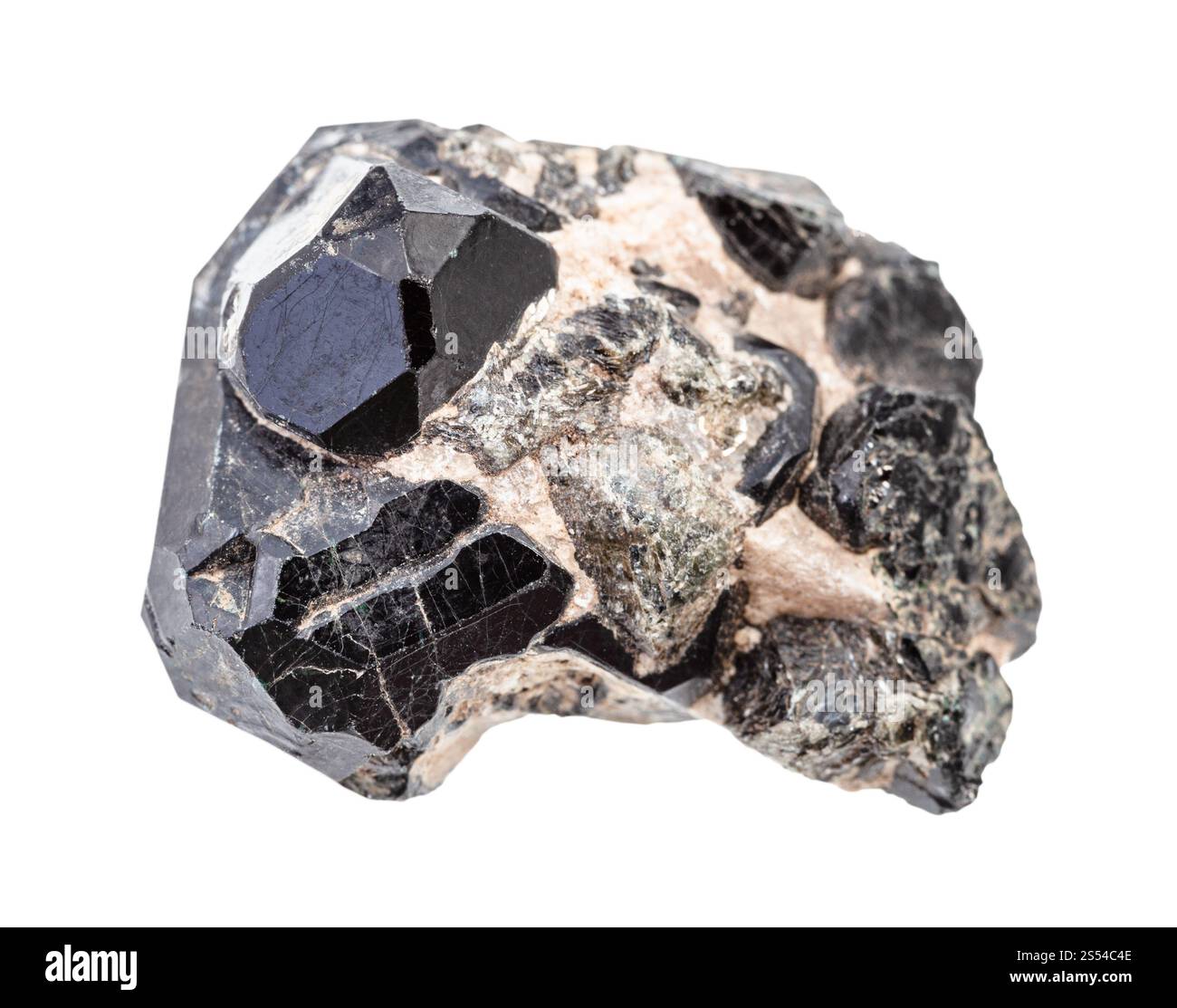 Nahaufnahme der Probe von natürlichem Mineral aus geologischer Sammlung - schwarze Spinellkristalle auf Diopsidmatrix isoliert auf weißem Hintergrund. Schwarzer Spinell Stockfoto
