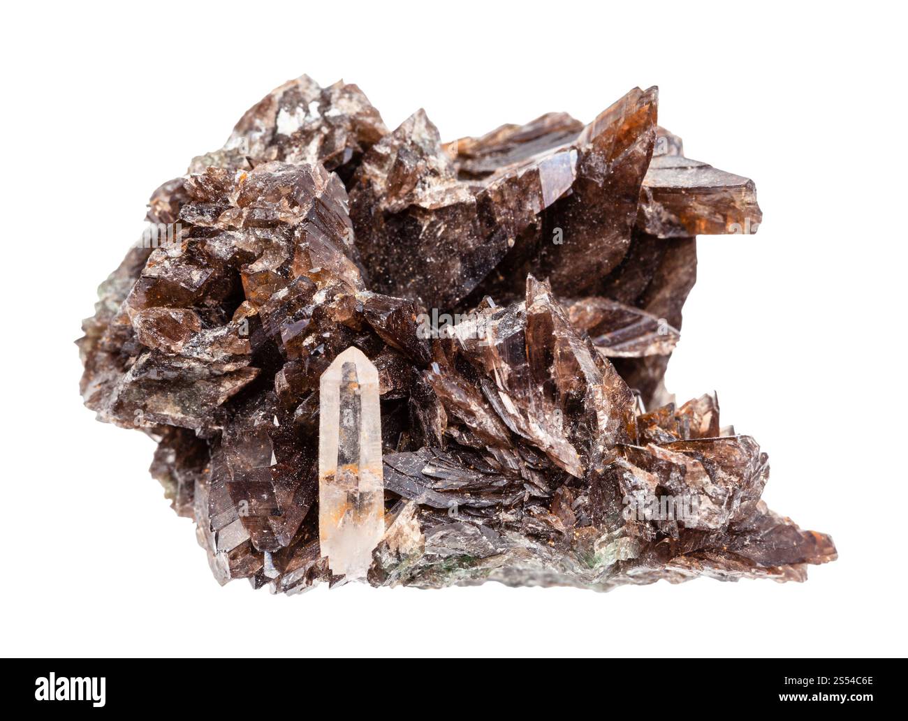 Nahaufnahme der Probe des natürlichen Minerals aus der geologischen Sammlung - rohe Axinit-Kristalle isoliert auf weißem Hintergrund. Rohe Axinitkristalle isoliert auf Stockfoto