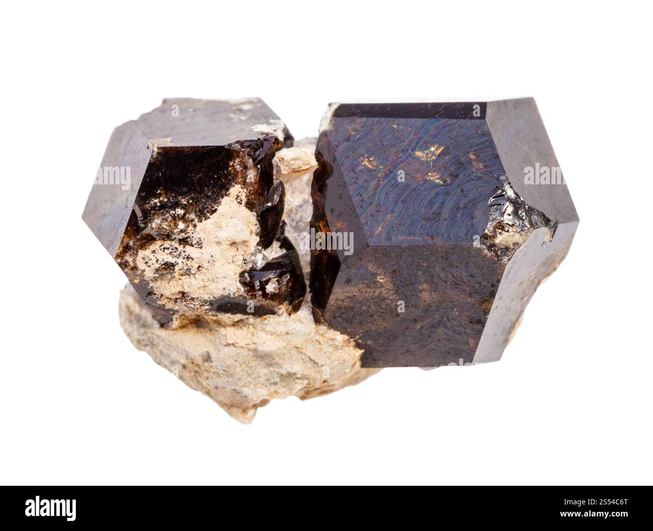 Nahaufnahme der Probe des natürlichen Minerals aus der geologischen Sammlung - rohe Andraditen-Granatkristalle isoliert auf weißem Hintergrund. Roher Andraditer Granat Stockfoto