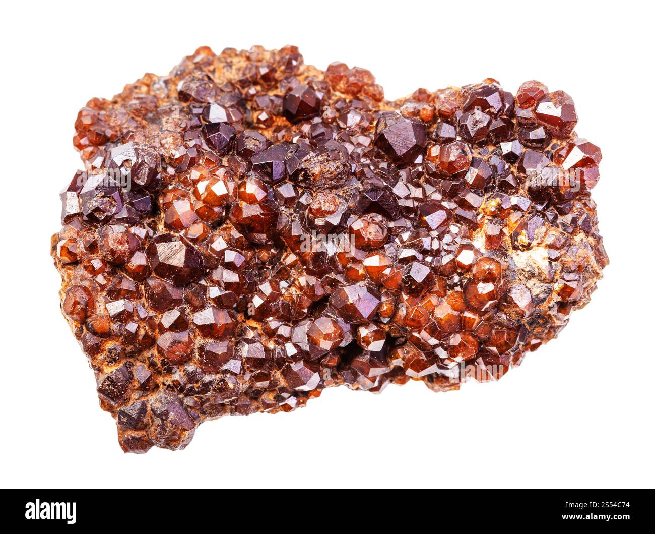 Nahaufnahme der Probe von natürlichem Mineral aus geologischer Sammlung - Druse von andraditischen Granatkristallen isoliert auf weißem Hintergrund. druse of Andradite Stockfoto