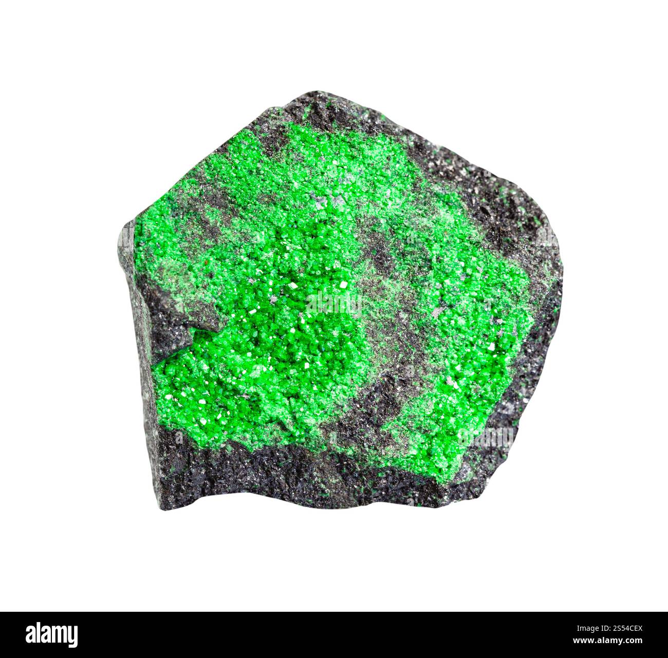 Nahaufnahme der Probe des natürlichen Minerals aus der geologischen Sammlung - Druse des Uvarovit (grüner Granat) auf Gestein isoliert auf weißem Hintergrund. druse von Stockfoto