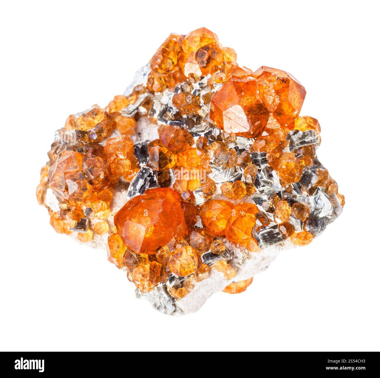 Nahaufnahme der Probe des natürlichen Minerals aus der geologischen Sammlung - rohe Spessartine Granatkristalle auf Felsen isoliert auf weißem Hintergrund. RAW Stockfoto
