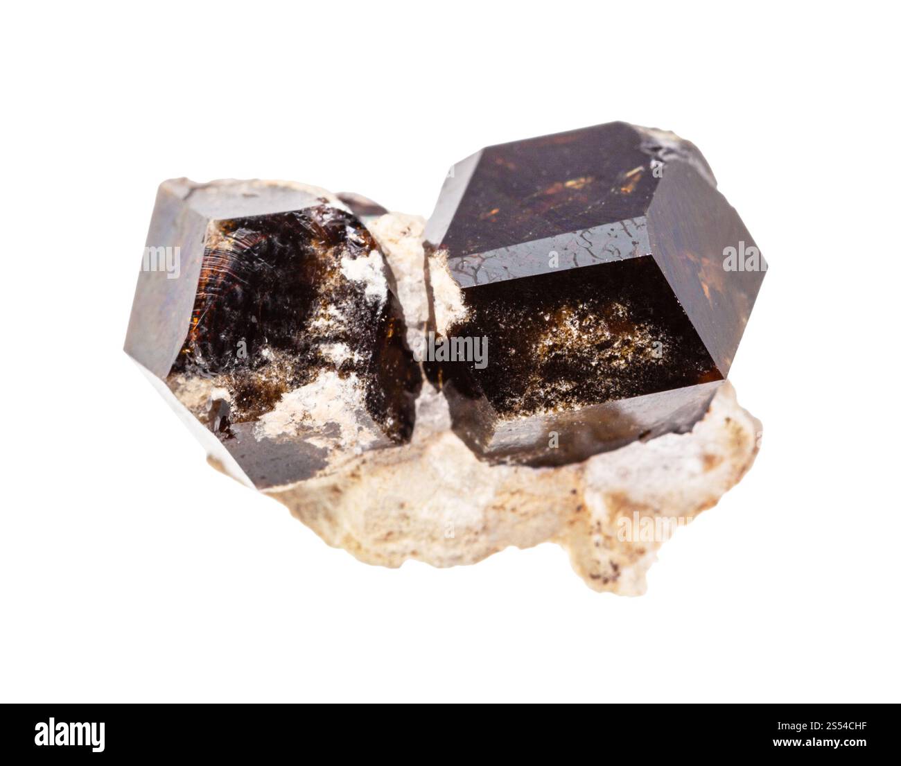 Nahaufnahme der Probe des natürlichen Minerals aus der geologischen Sammlung - Andraditen Granatkristalle isoliert auf weißem Hintergrund. Andradite Granatkristalle Stockfoto