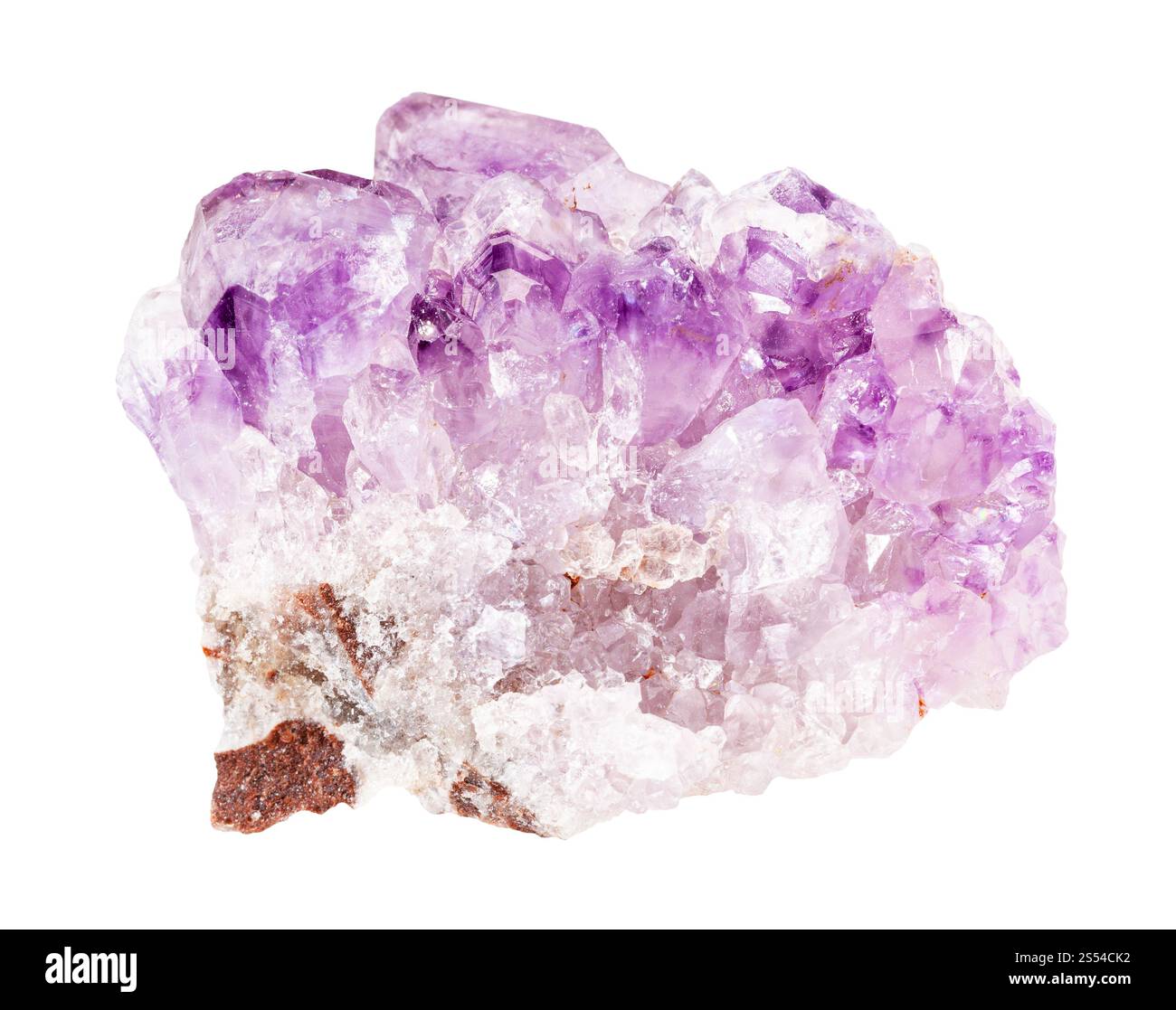 Nahaufnahme der Probe von natürlichem Mineral aus geologischer Sammlung - Druse von Amethyst-Gestein isoliert auf weißem Hintergrund. druse aus Amethyst-Gestein Stockfoto