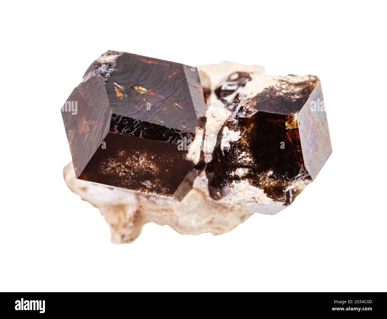 Nahaufnahme der Probe des natürlichen Minerals aus der geologischen Sammlung - grobe Andraditen-Granatkristalle isoliert auf weißem Hintergrund. Grober Andradit Stockfoto