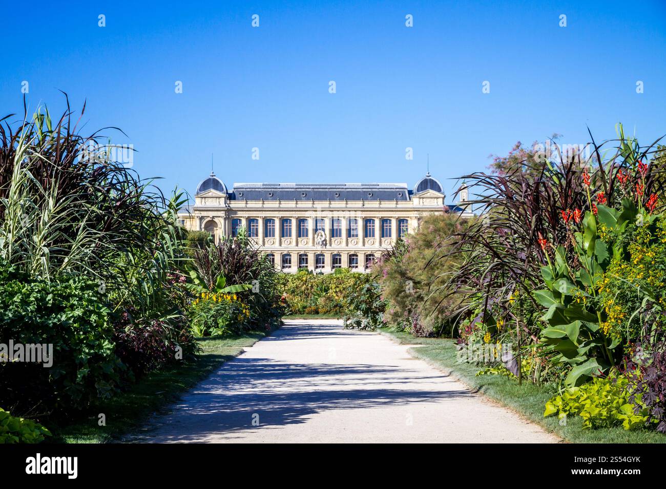 Botanischer Garten und Museum Jardin des plantes, Paris, Frankreich. Park und Museum Jardin des plantes, Paris, Frankreich Stockfoto