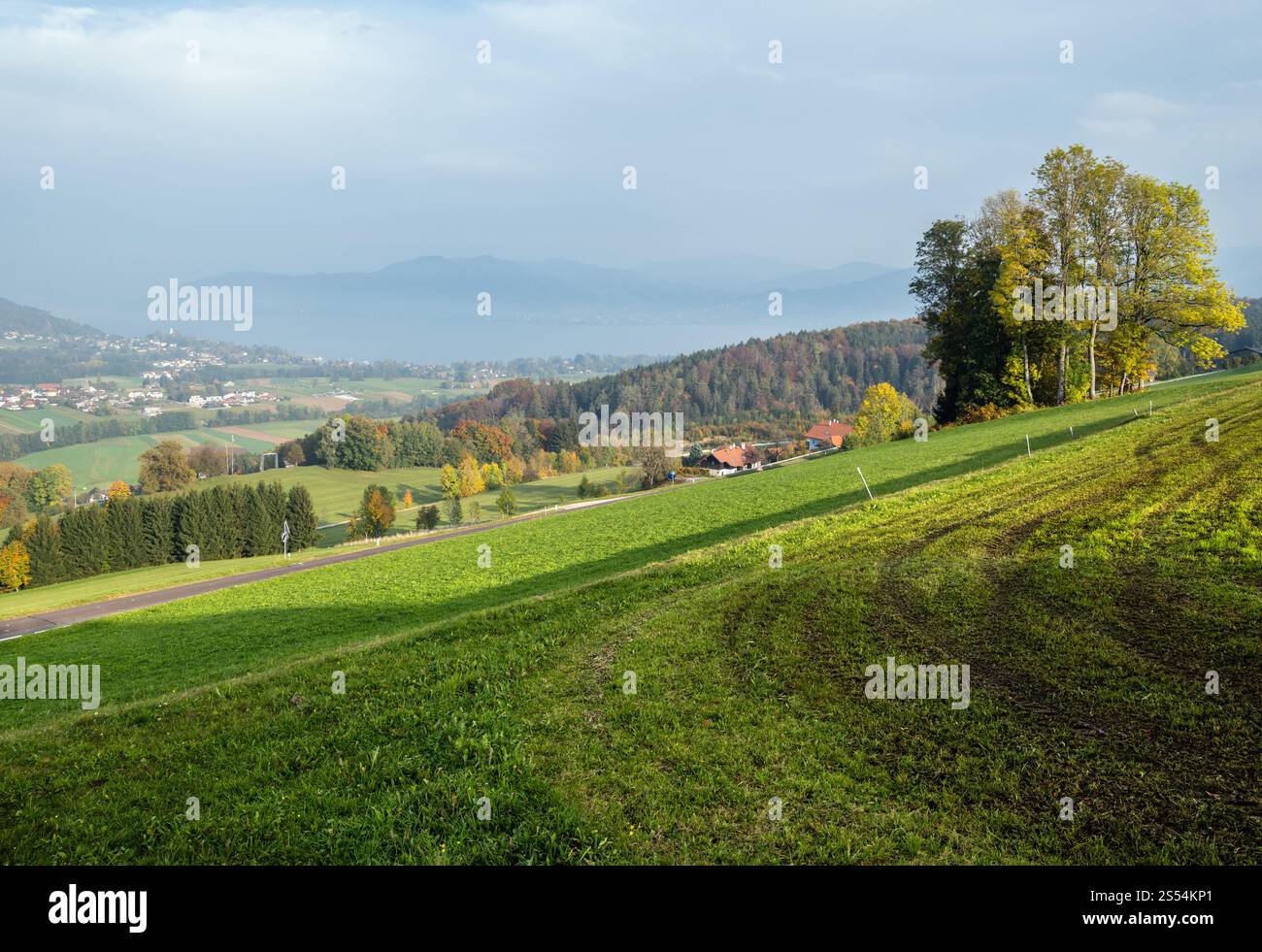 Blick auf die herbstliche Landschaft mit grünen Winterpflanzen auf Feldern, Hainen und Wald, Kronberg, Strass im Attergau, Oberösterreich. Attersee und Stadt in Stockfoto