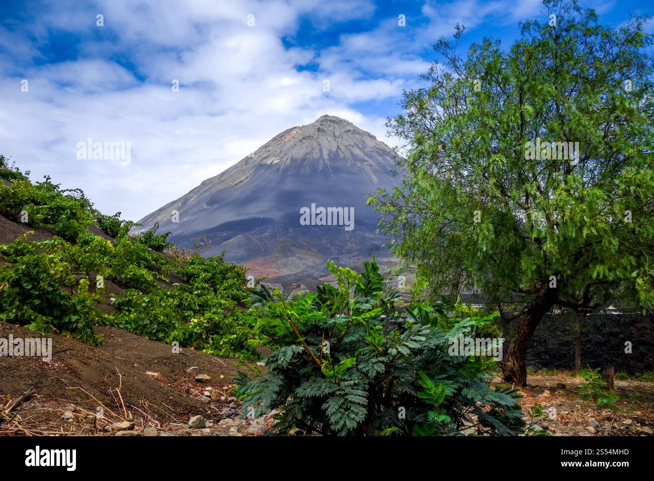 Vulkan Pico do Fogo in Cha das Caldeiras, Kap Verde. Pico do Fogo, Cha das Caldeiras, Kap Verde Stockfoto