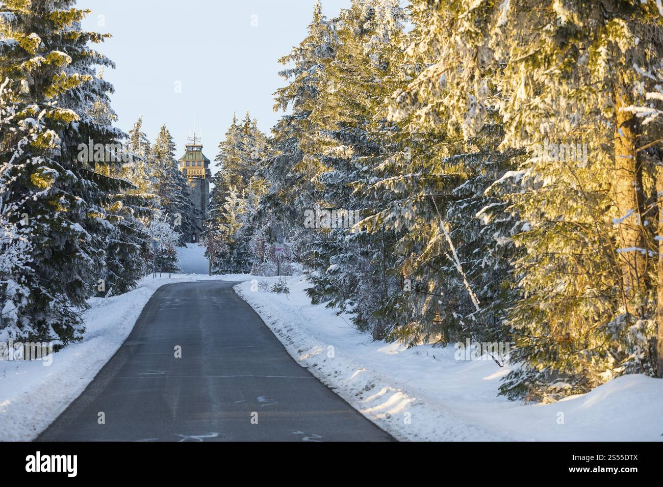 Straße den Auersberg hinauf, fast oben kann man schon den Aussischtsturm, Eibenstock, Erzgebirge, Sachsen, Deutschland, Europa Stockfoto