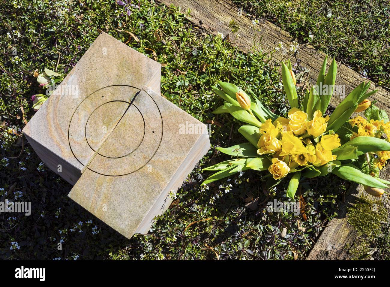 Grabstein, daneben ein Strauß aus gelben Rosen, Narzissen und Tulpen, Friedhof Alleestraße, Riesa, Sachsen, Deutschland, Europa Stockfoto