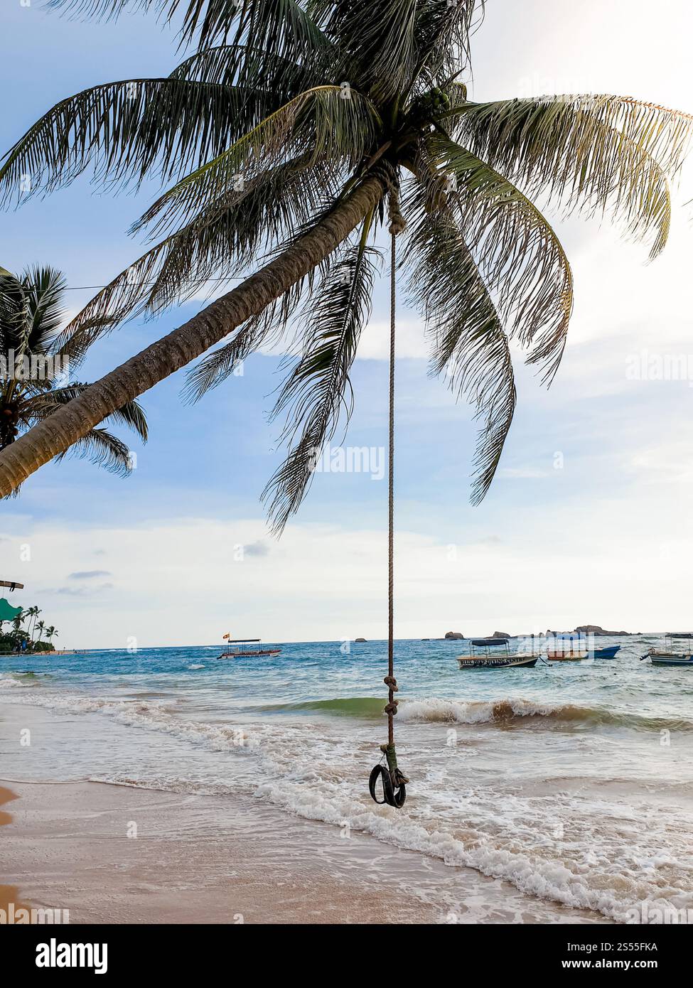 Wunderschönes Bild von tropischen Palmen am Meeresstrand mit Seile. Wunderschönes Foto von tropischen Palmen am Meeresstrand mit Seile Stockfoto