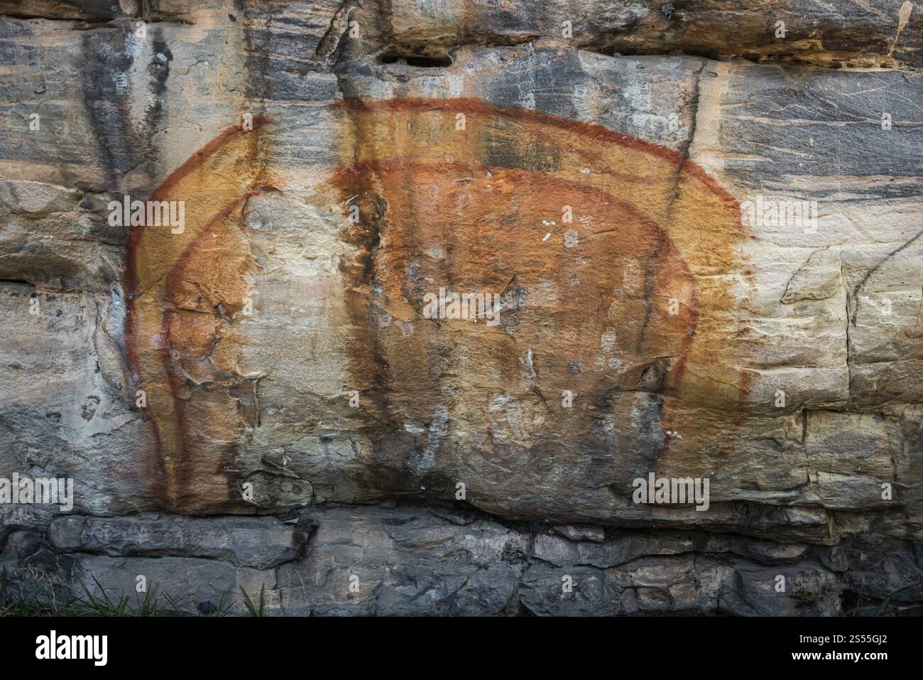 Steinschnitzereien der Aborigines, Regenbogenschlange, Kadadu-Nationalpark, Ubirr oder Obiri Rock, Northern Territory, Australien, Ozeanien Stockfoto